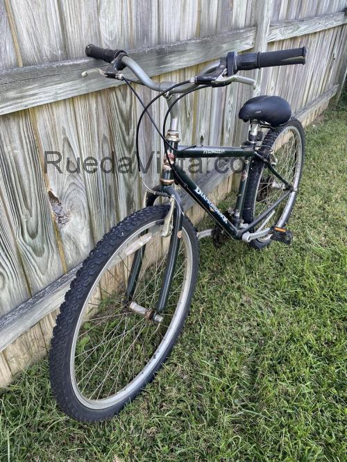 Diamondback Wildwood opinión y ficha técnica